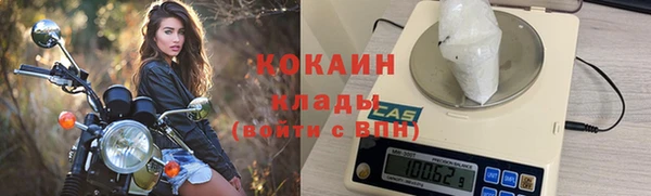 трава Абаза
