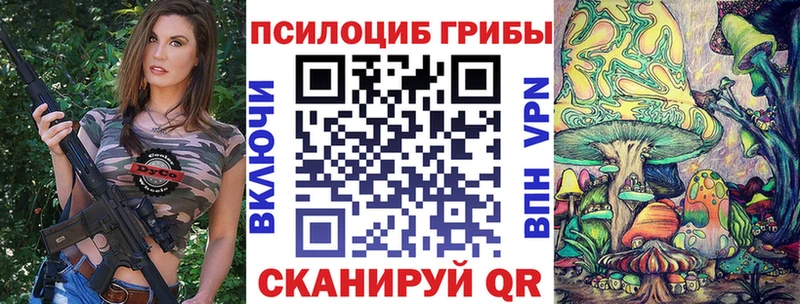 Галлюциногенные грибы MAGIC MUSHROOMS  где найти наркотики  Адыгейск 